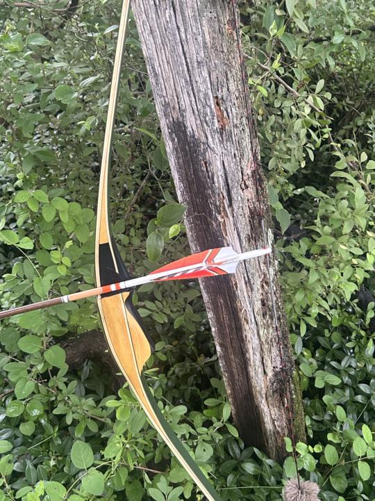 New long bow 