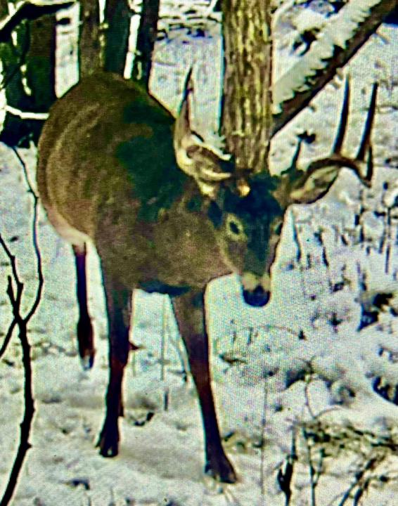 Rapid Fire in 3 hours 🔥 🏹