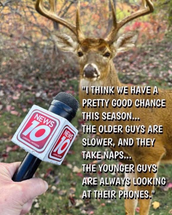 Some thoughts from the field 