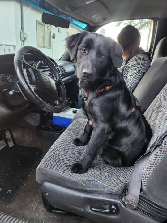 My Sadie-May is growed