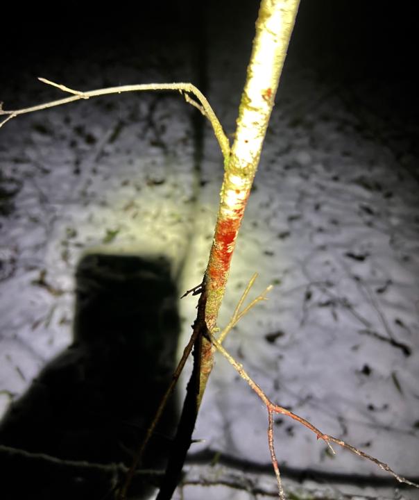 Rapid Fire Live covering 3 critical Blood Tracking Tips! 