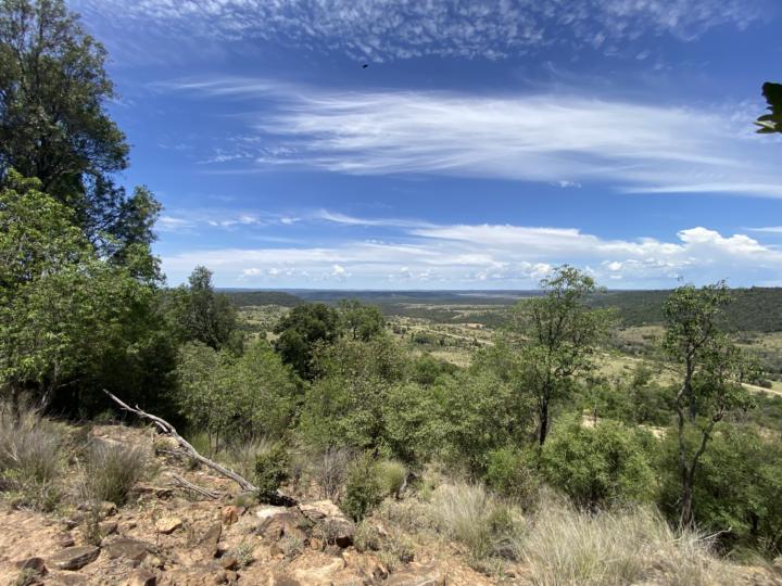 A beautiful 36.6 degree day in beautiful Queensland Australia 