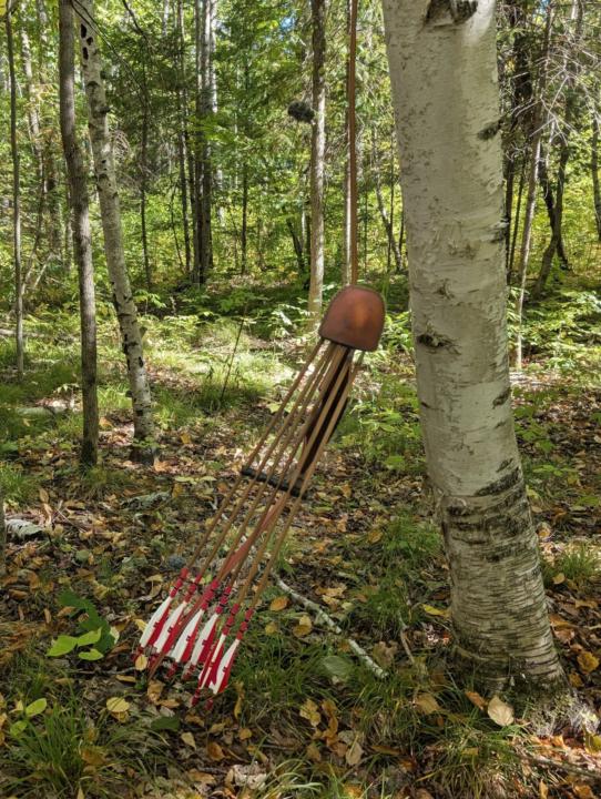 Good to be back in the woods. 