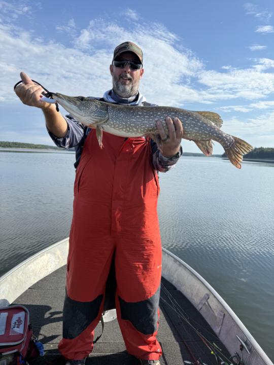 Little Fishing to Reset