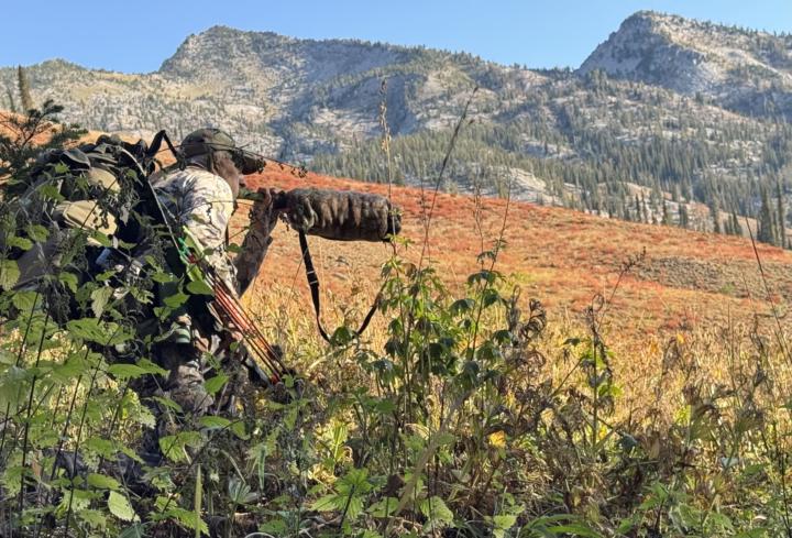 trad bow and granite bull