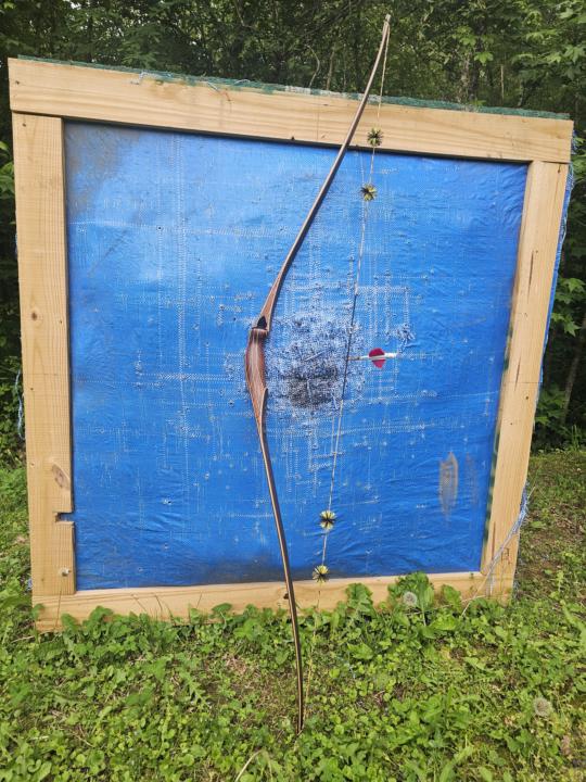 Striker Cocobolo classic 60" Longbow