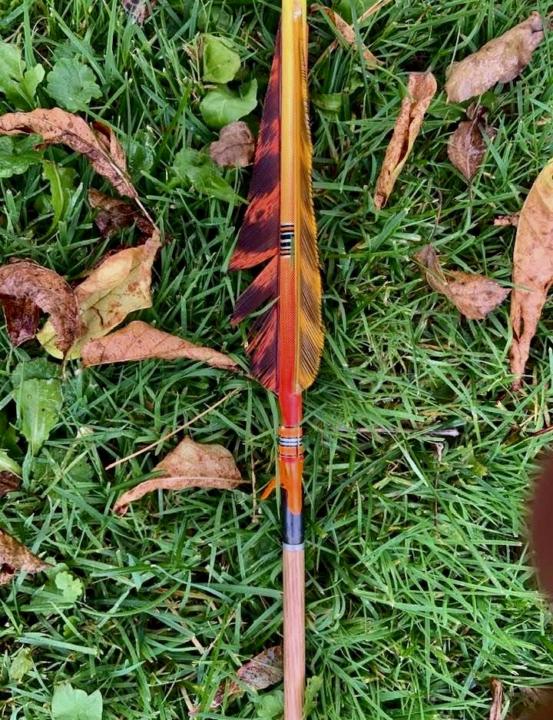 Robin hoods! Incidental or accidental? 