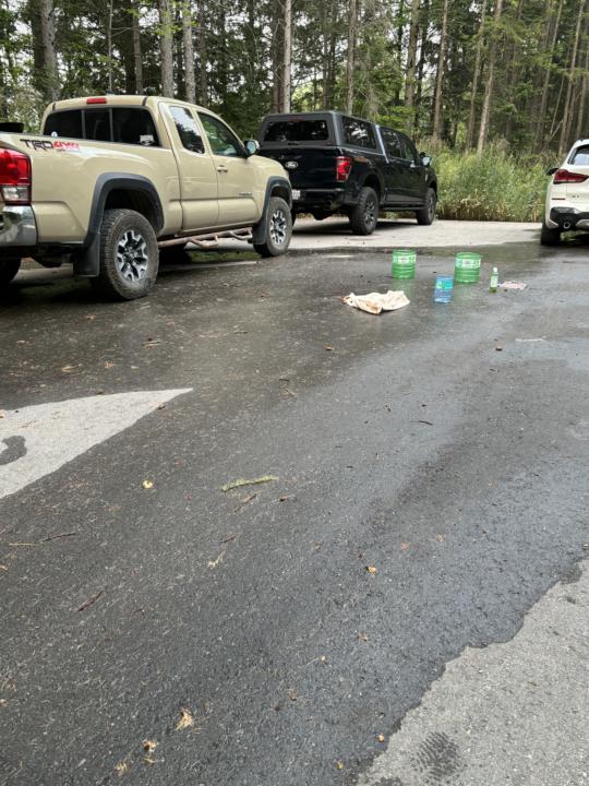 Skunk attack during Fireside Chat