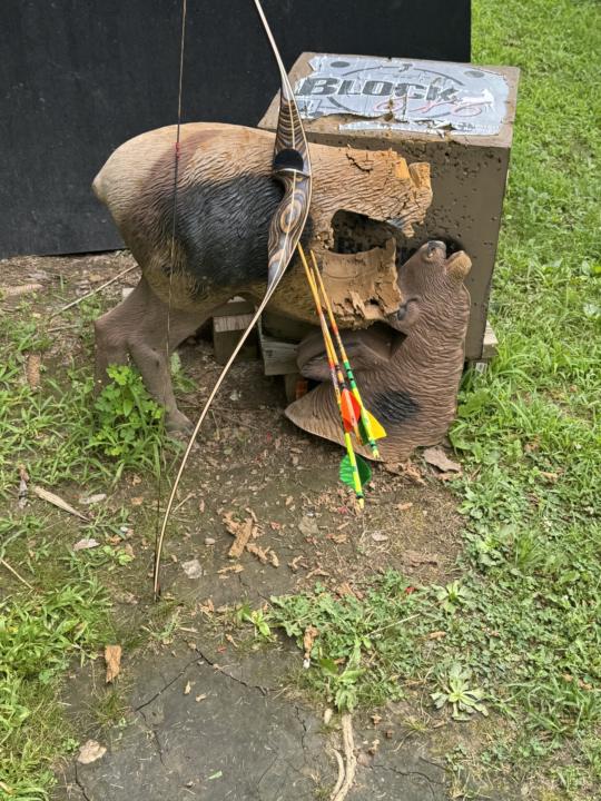 New bow 