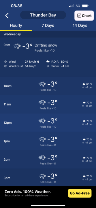 I cried a little today