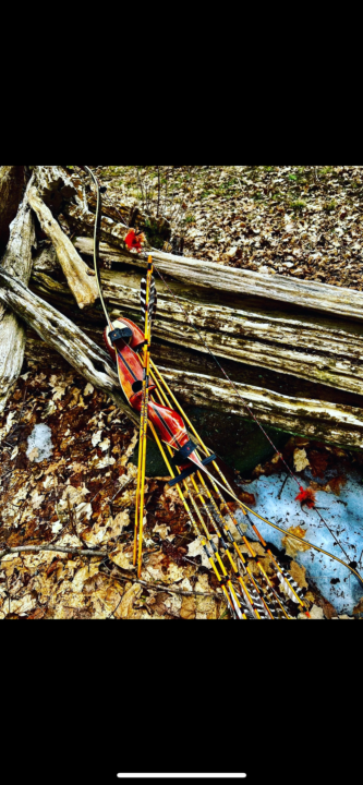 Bows in the wild! 