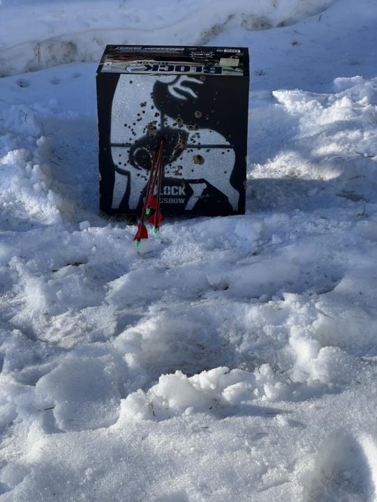 Spring’s getting closer!