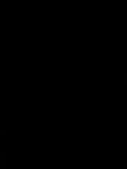 Umm Mubarak