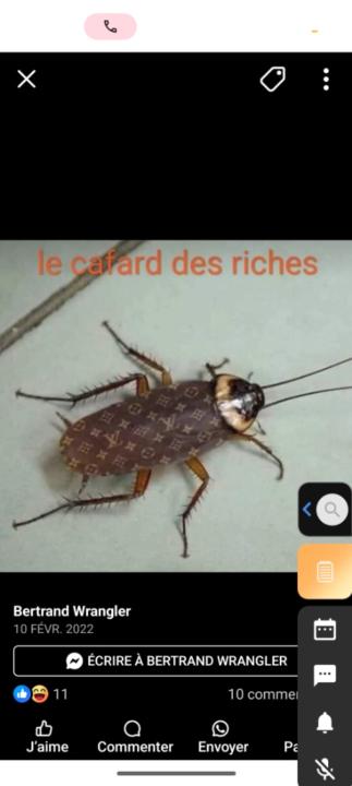 Mireille Tagne Tuedom