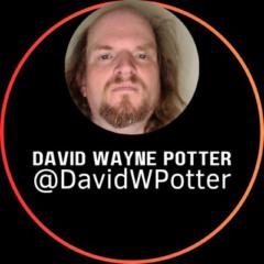 David Potter