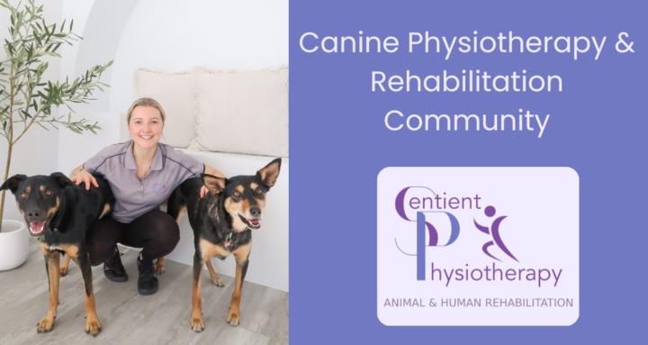Canine Physiotherapy 