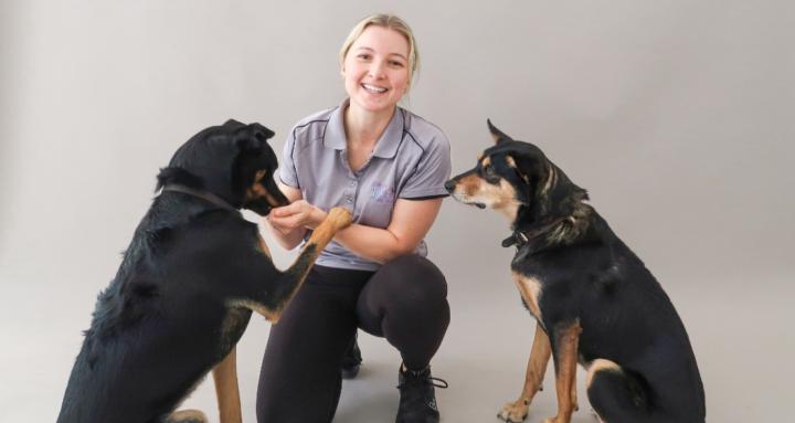 Canine Physiotherapy 