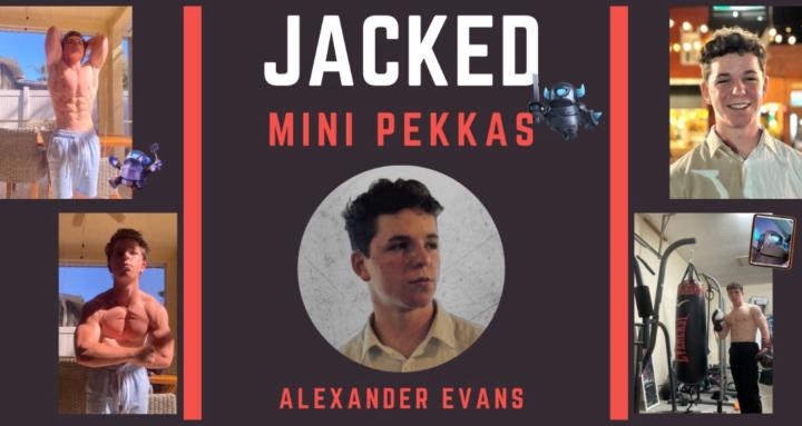 Jacked Mini PEKKAS
