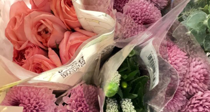 Bloom & Build Society