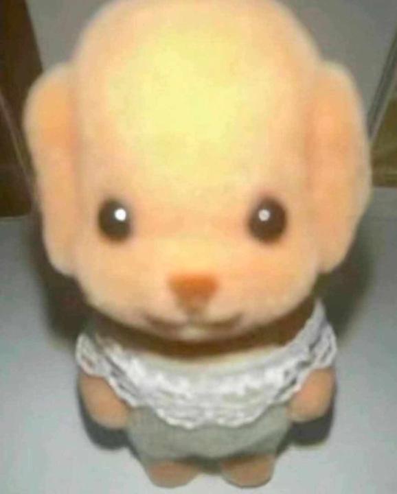 Отгонбаатар Номин