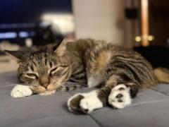 Paula andrea Garcia palacio