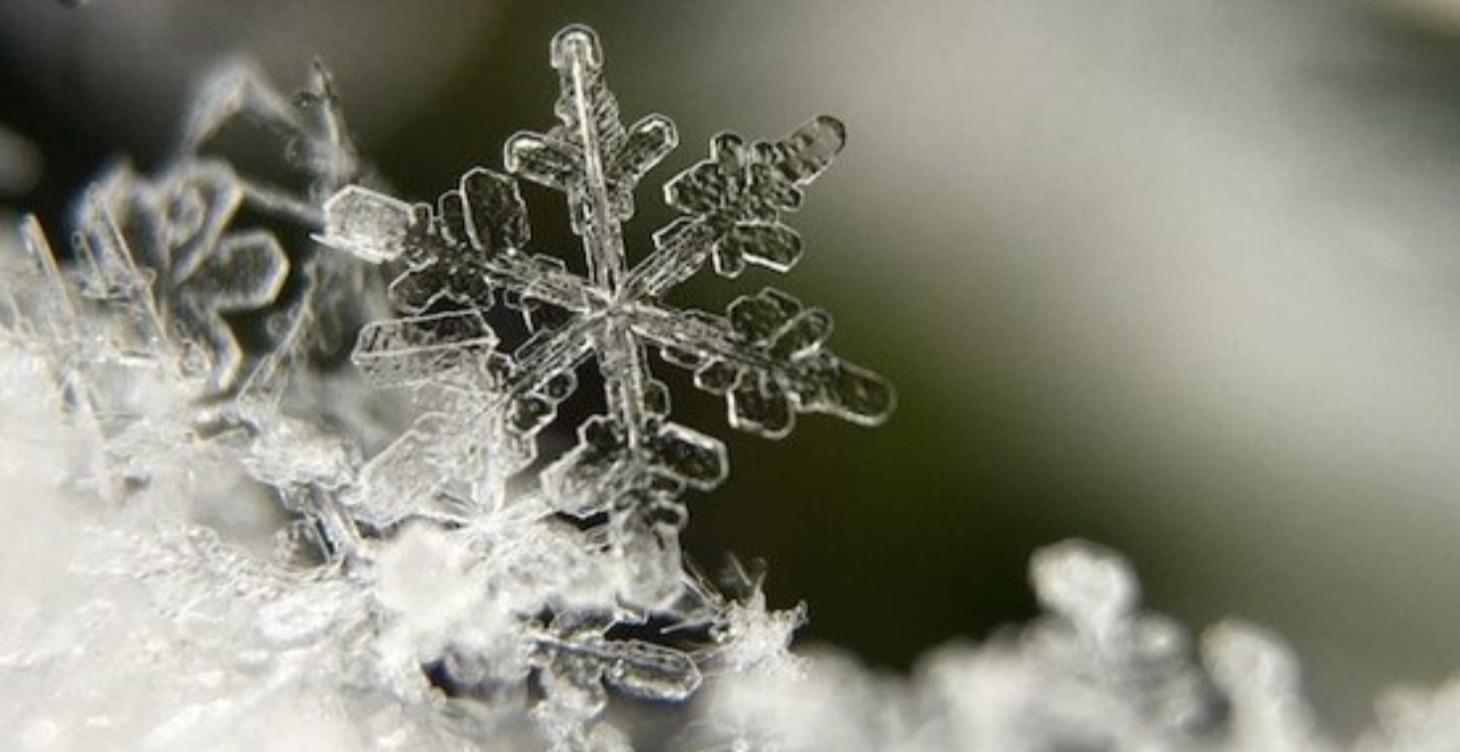 Ketogenic information on Epilepsy