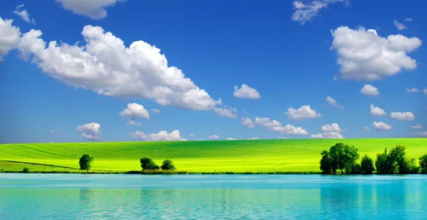 RED MEAT: The Single BEST Food: Healing and Repair