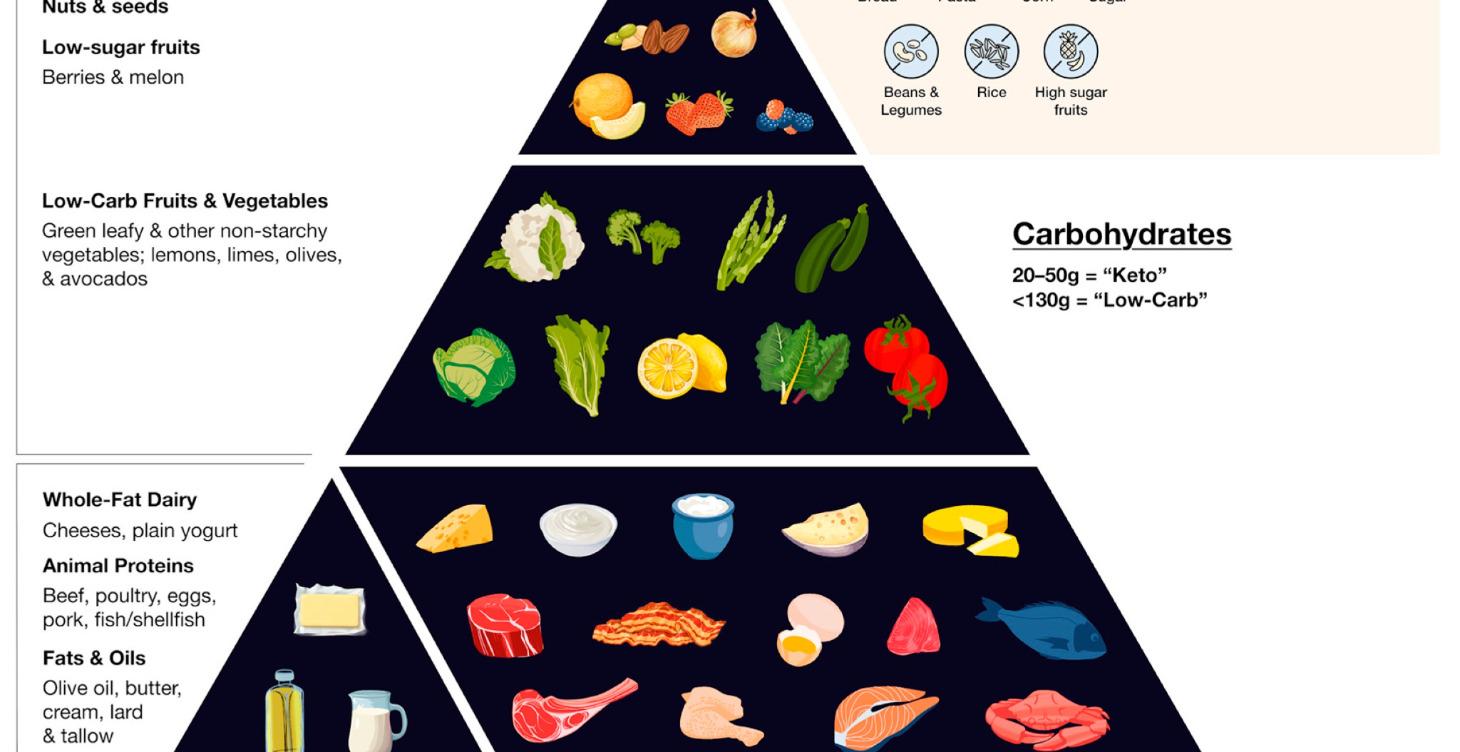 Myths and Facts Regarding Low-Carbohydrate Diets