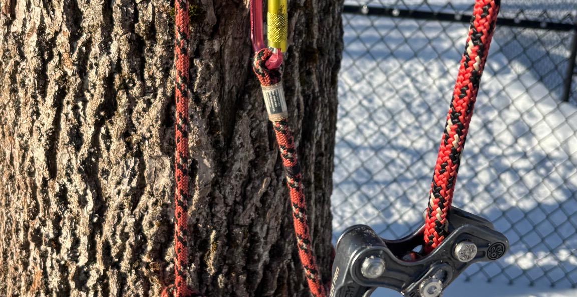 Basic Climber’s knots