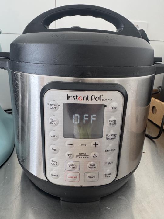 真心推薦這一台 Instant Pot 壓力鍋