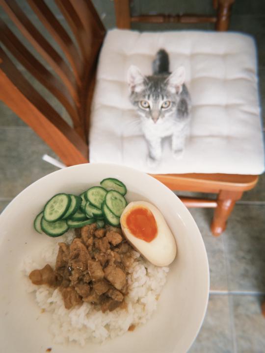 帶便當最方便的選擇台式滷肉飯/肉燥飯