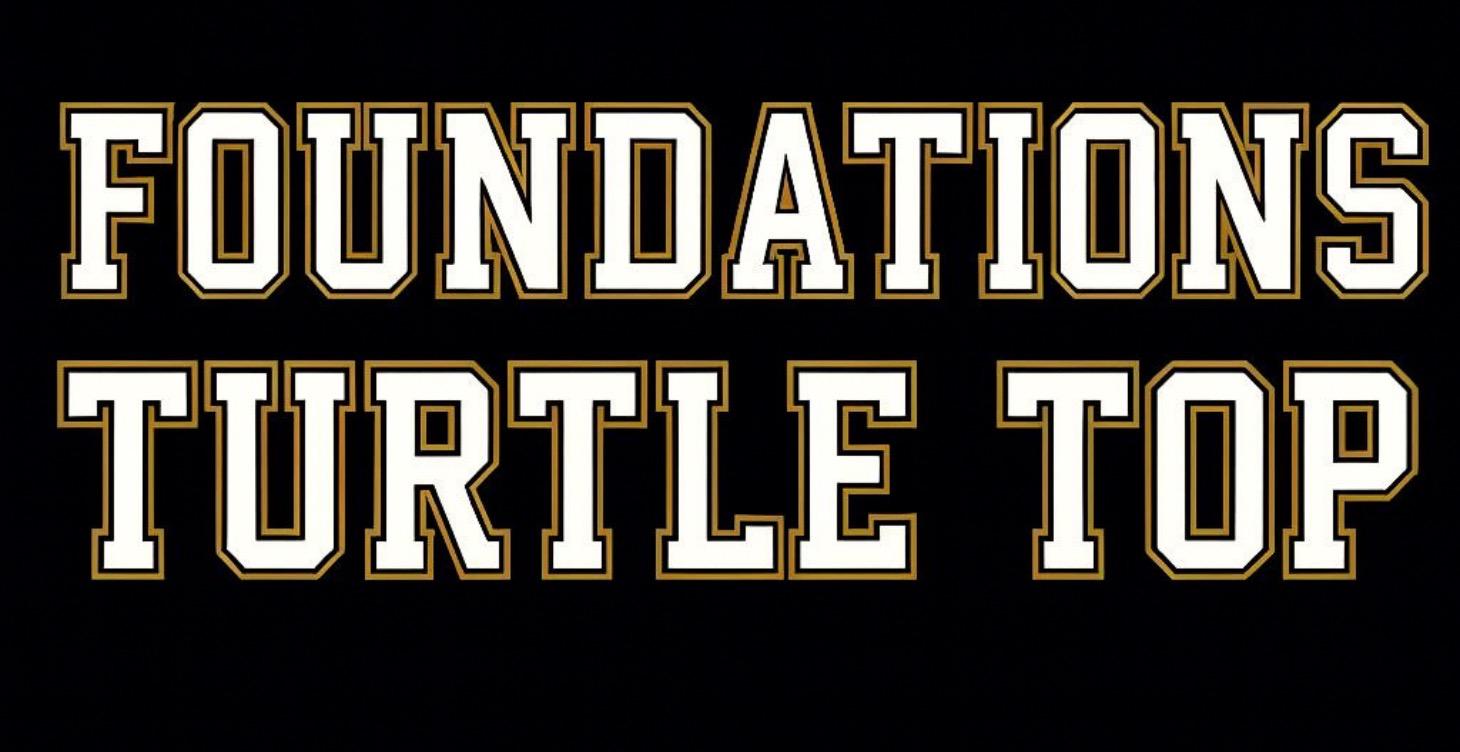 Turtle Top Mini Course