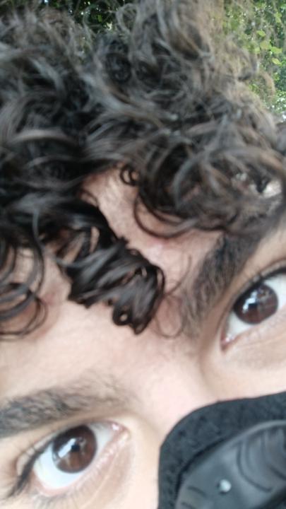 Luis Pedro Meneses Tárano