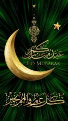 Aref bourhan Mohamed
