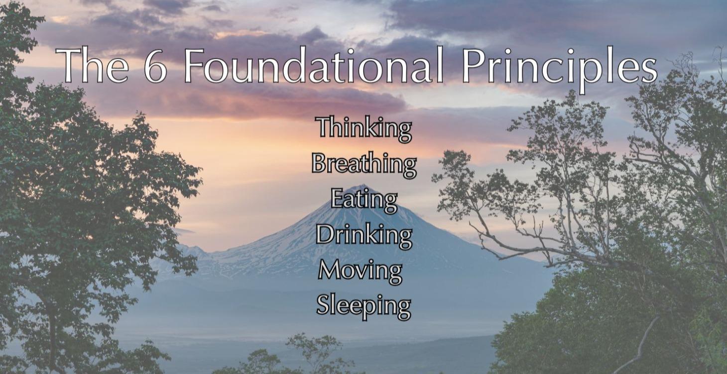 The Six Foundational Principles