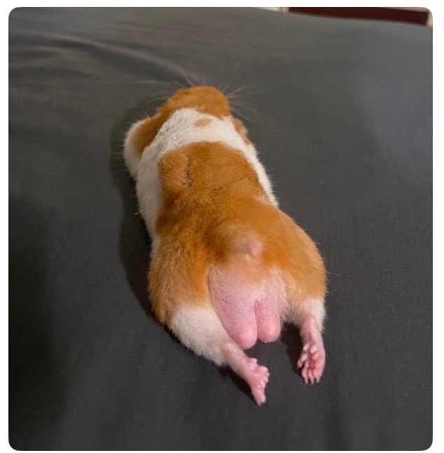 J Un