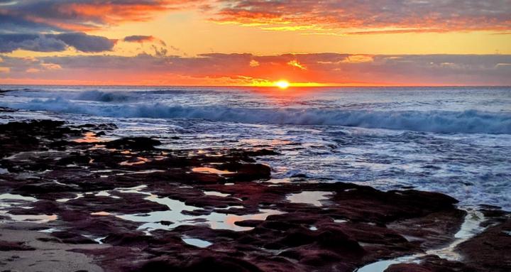 Savví | Builders Club