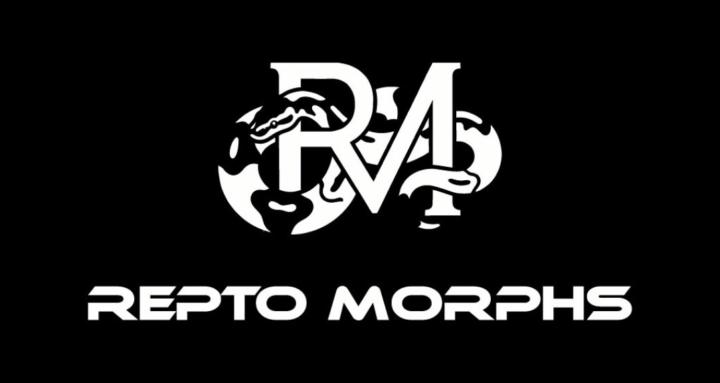 Repto Morphs