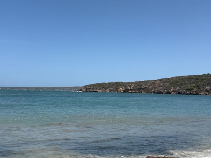 Einit Soto