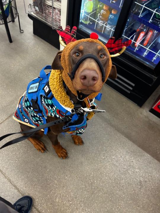 Kimberly LaFountaine