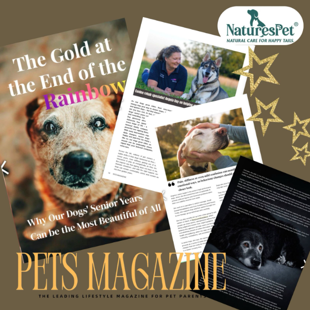 Take Back Control of Your Dog's Health 🐕