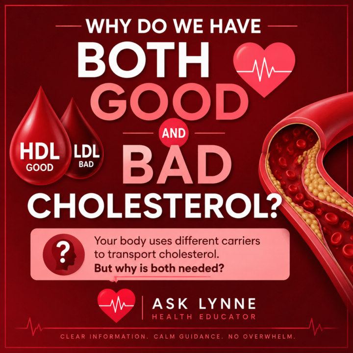 🩸The Great Cholesterol Mystery: Good vs Bad