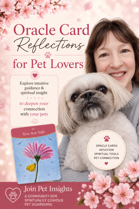 🐾 What if your pet had something they wanted you to understand?