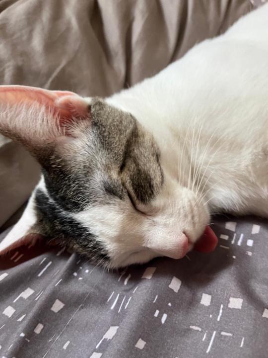 Ramiro Alejandro Ramirez Cuellar