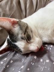 Ramiro Alejandro Ramirez Cuellar