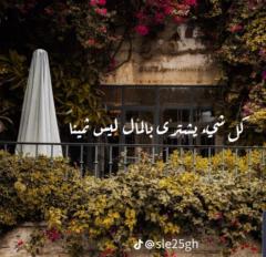 حسام الحفيظي