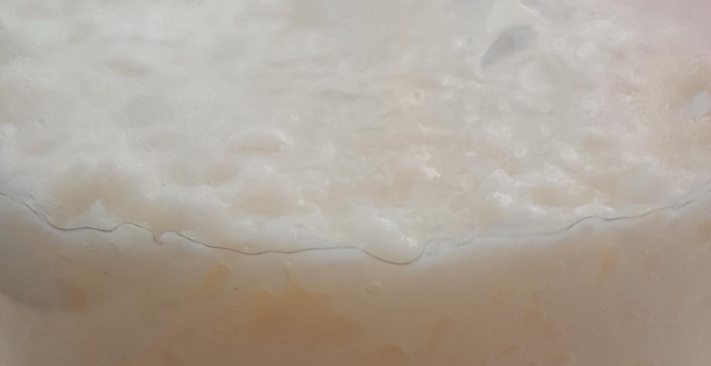 Every Wine but Grape