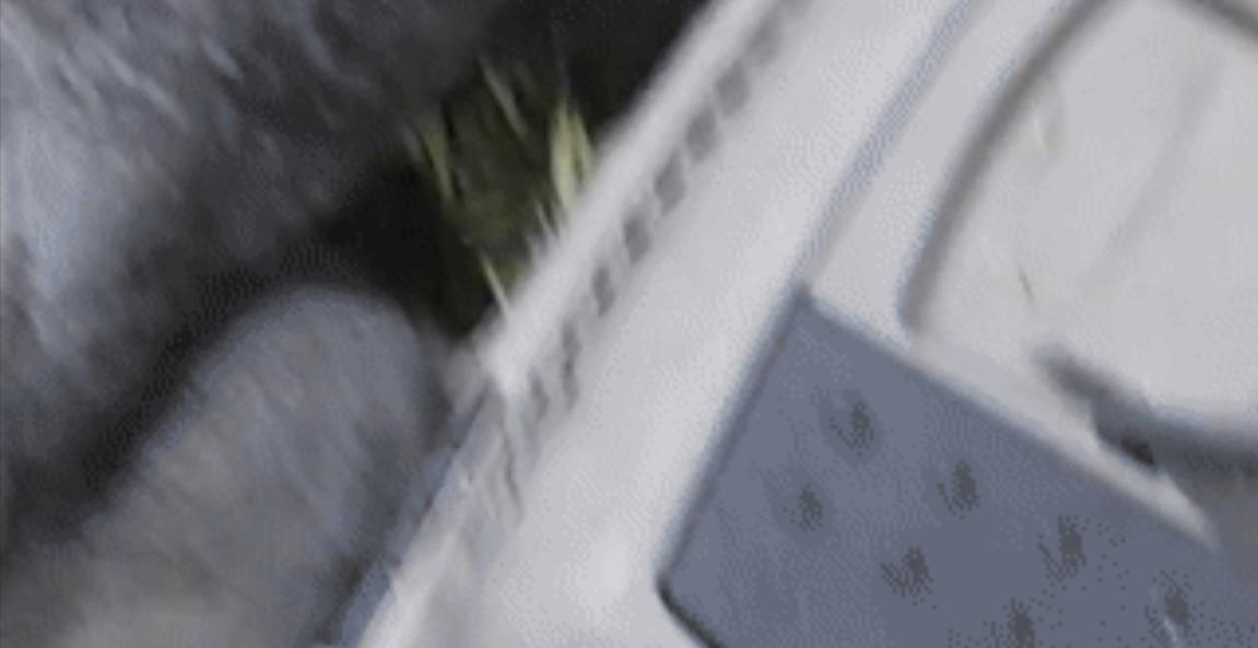 Viva Six & Her Two Kits Exploring the new BIG Pen