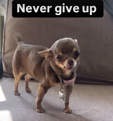 I had the worst week of my life last week