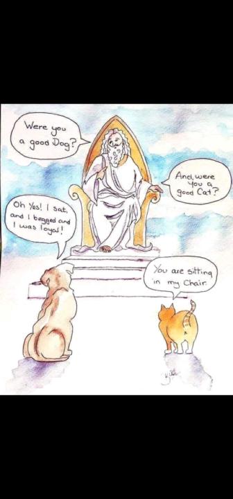 Are you a dog or cat person?